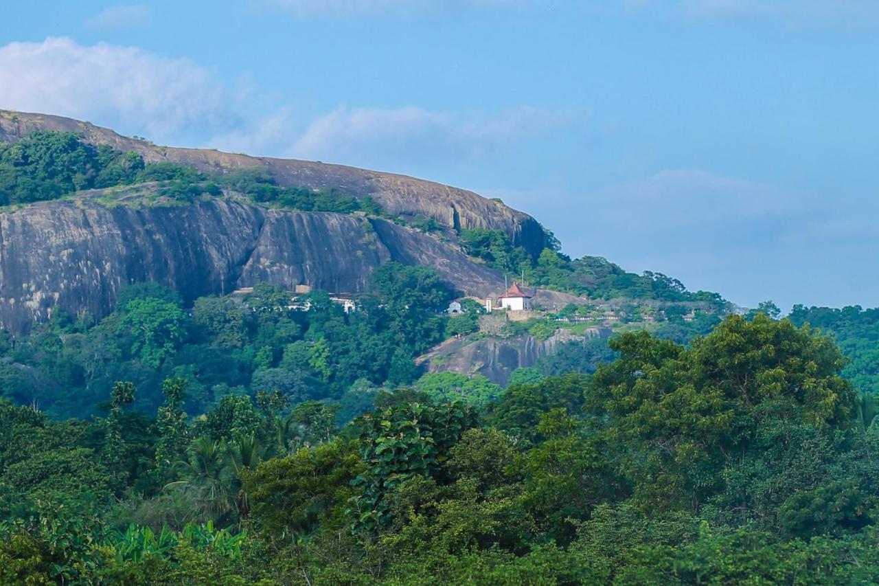 Tropical Life Resort And Spa Dambulla Bagian luar foto