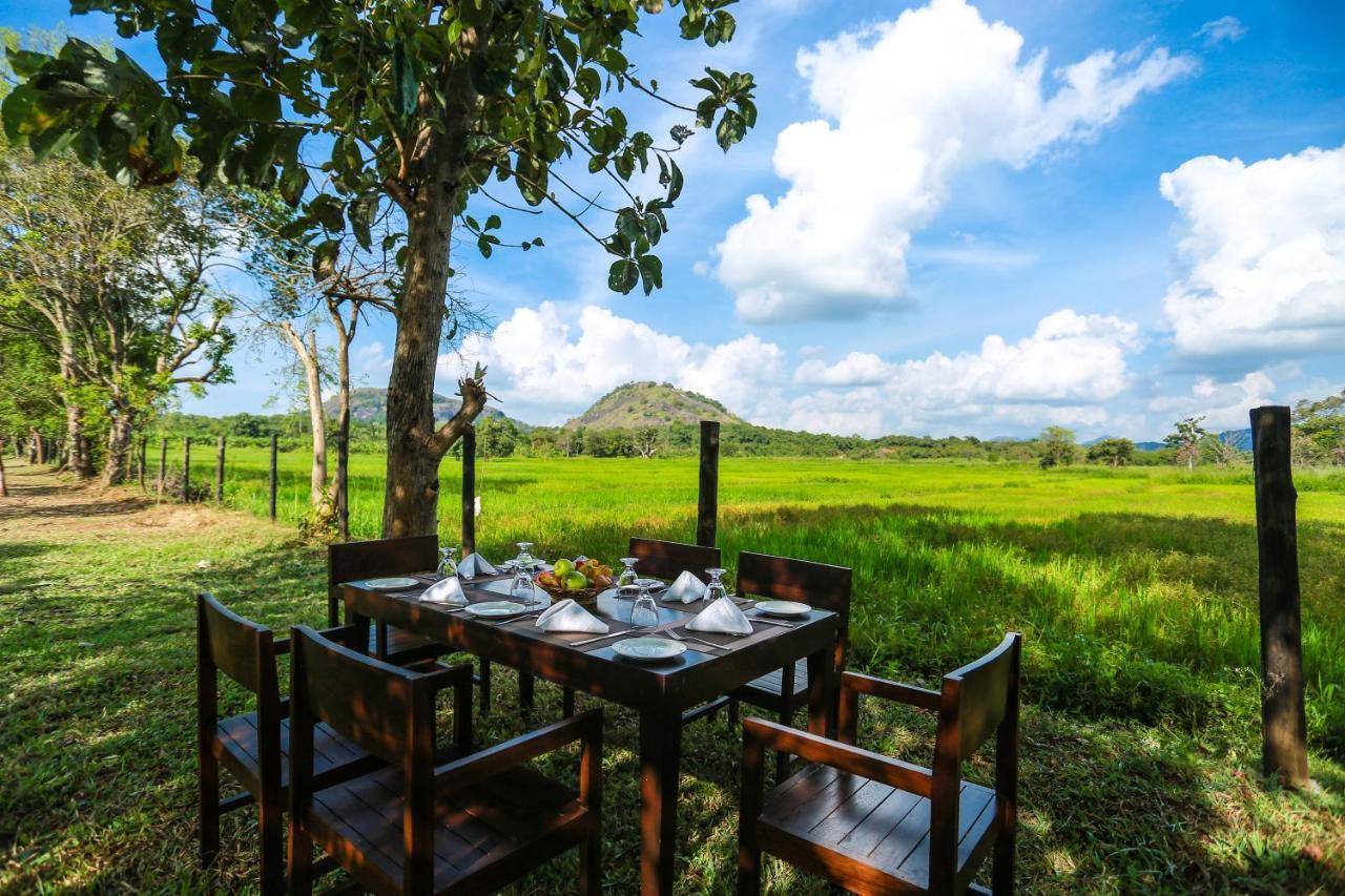 Tropical Life Resort And Spa Dambulla Bagian luar foto
